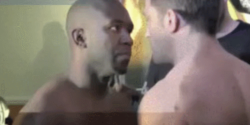 싸우다 정든다.gif | 인스티즈