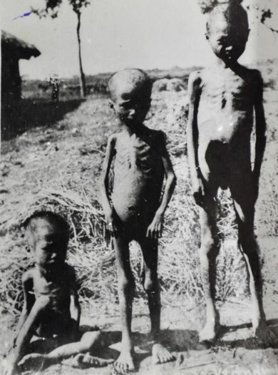 한국군 베트남 학살로 물타기하는 일본인들.jpg | 인스티즈