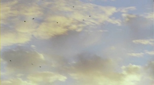 화면이 이뻤던 영화들 | 인스티즈