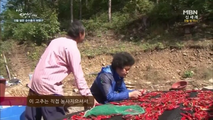 나는 자연인이다 말벌킬러 허명구씨ㅋㅋㅋㅋㅋㅋ | 인스티즈