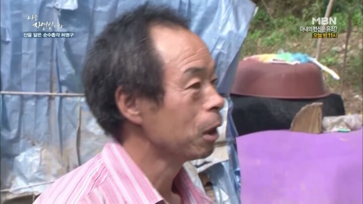 나는 자연인이다 말벌킬러 허명구씨ㅋㅋㅋㅋㅋㅋ | 인스티즈