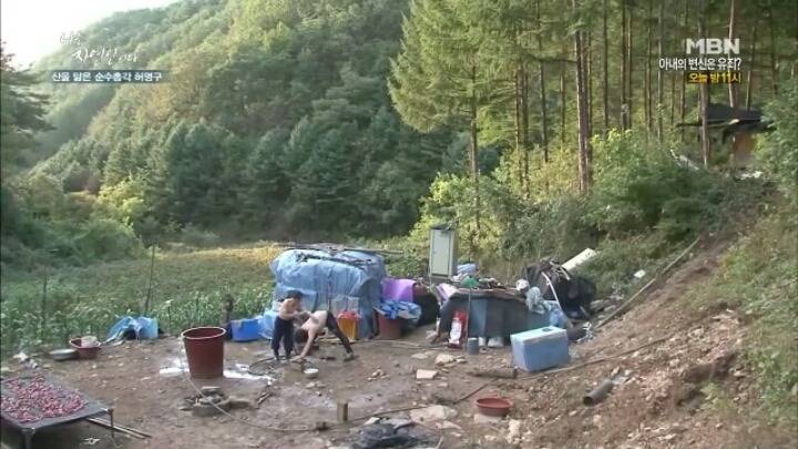 나는 자연인이다 말벌킬러 허명구씨ㅋㅋㅋㅋㅋㅋ | 인스티즈