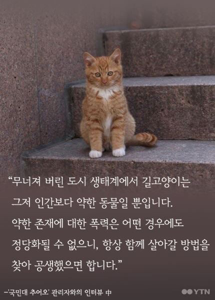 다시 태어난다면 국민대 고양이로... | 인스티즈