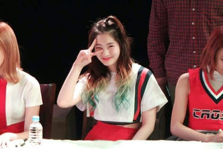 트와이스 두부 꾹꾹이 아기맹수 | 인스티즈