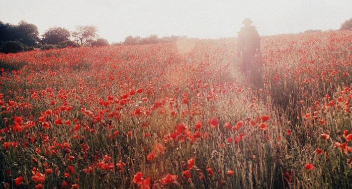 화면이 이뻤던 영화들 | 인스티즈