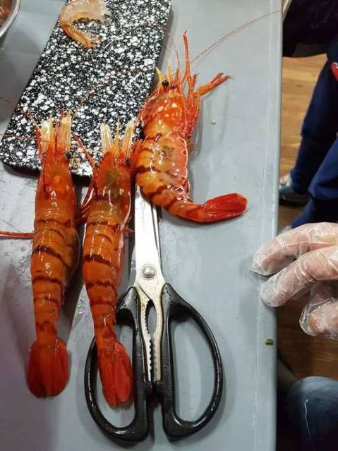 독도새우 | 인스티즈