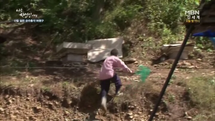 나는 자연인이다 말벌킬러 허명구씨ㅋㅋㅋㅋㅋㅋ | 인스티즈