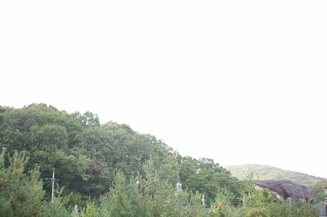 출산의 진실 | 인스티즈