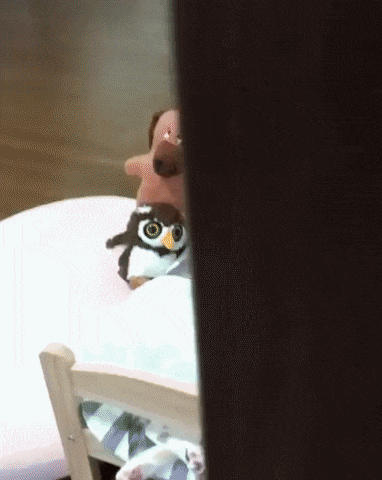 침대에서 잠자는 고양이들.gif | 인스티즈