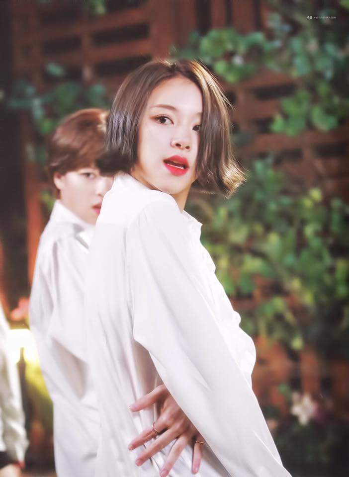 트와이스 두부 꾹꾹이 아기맹수 | 인스티즈