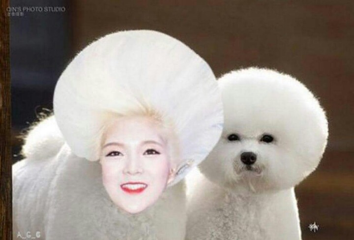 격한안무로 고통받는 아이돌.jpg | 인스티즈