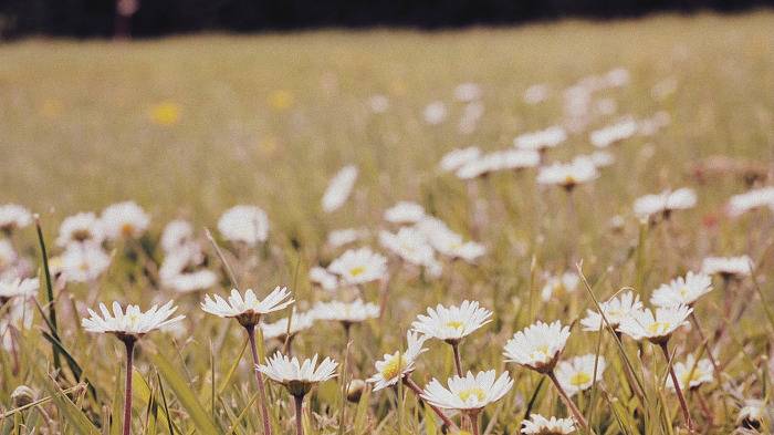 화면이 이뻤던 영화들 | 인스티즈