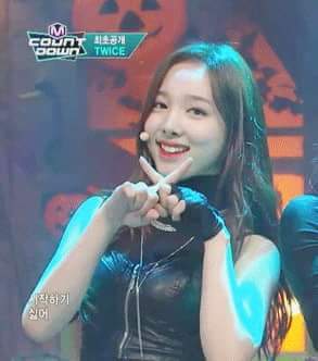 트와이스 두부 꾹꾹이 아기맹수 | 인스티즈