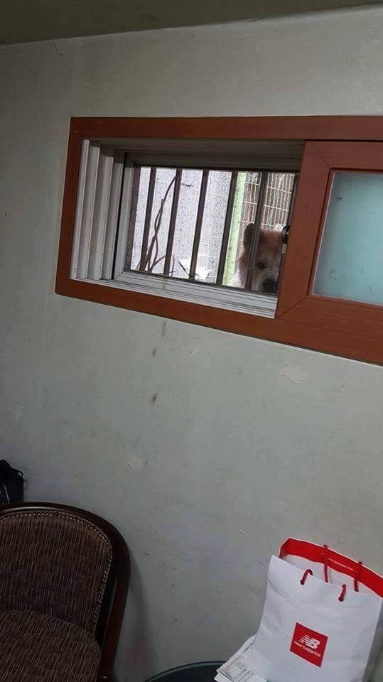 반지하 살면 일어나는 일 | 인스티즈