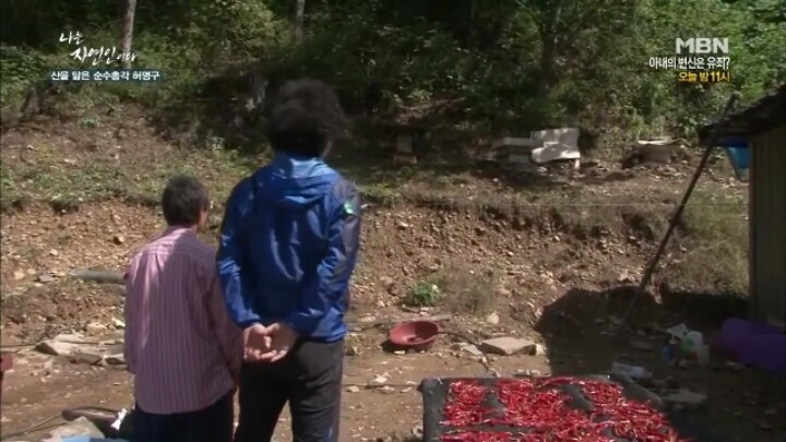 나는 자연인이다 말벌킬러 허명구씨ㅋㅋㅋㅋㅋㅋ | 인스티즈