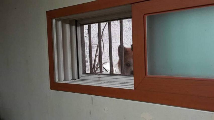 반지하에 살면 생기는 일 | 인스티즈