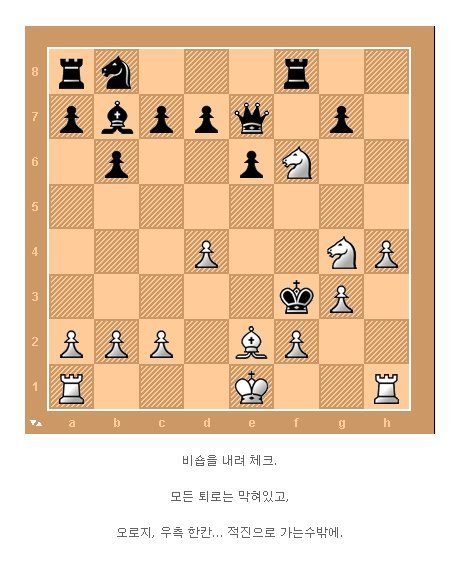 체스천재의 한수 | 인스티즈