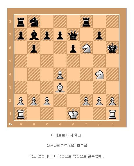체스천재의 한수 | 인스티즈