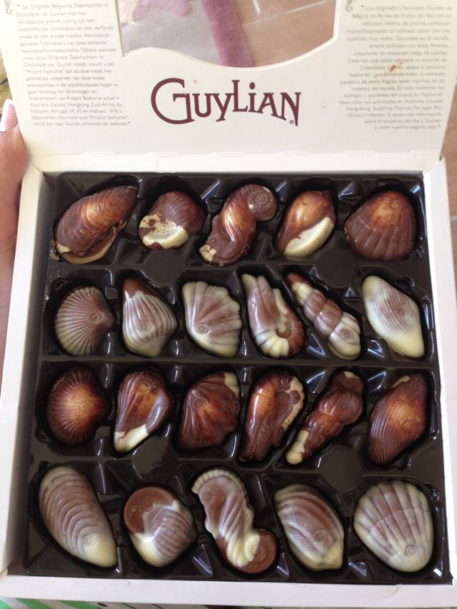 벨기에 대표 간식 (2) 초콜릿 | 인스티즈