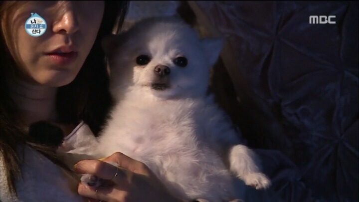 [나혼자산다] 순심이 셀프미용 | 인스티즈