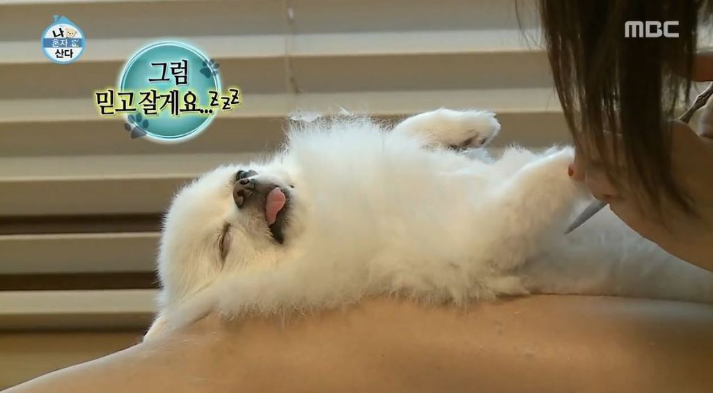 [나혼자산다] 순심이 셀프미용 | 인스티즈