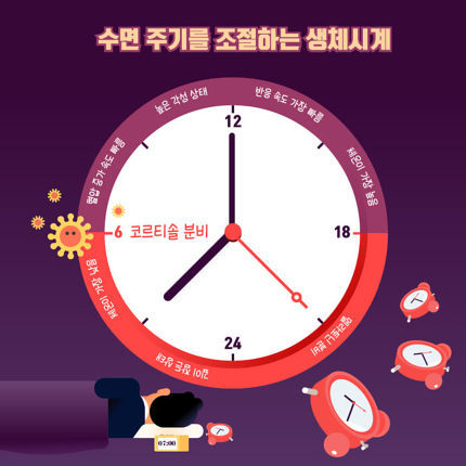 &#34;아직 50분인데..&#34; 알람 울리기 전 저절로 눈 떠지는 이유는? | 인스티즈