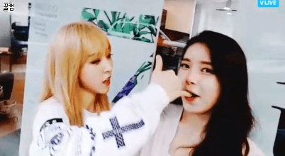 v앱 중에 리더의 코딱지를 파주는 마마무 문별 | 인스티즈