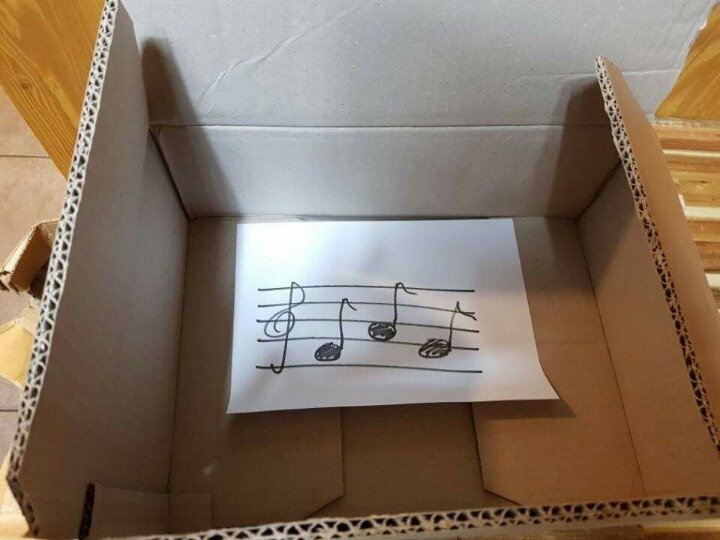 중고나라에서 산 파라솔 | 인스티즈