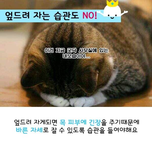 얼굴 나이는 이걸로 결정된다는 걸 왜 아무도 몰라주지 | 인스티즈