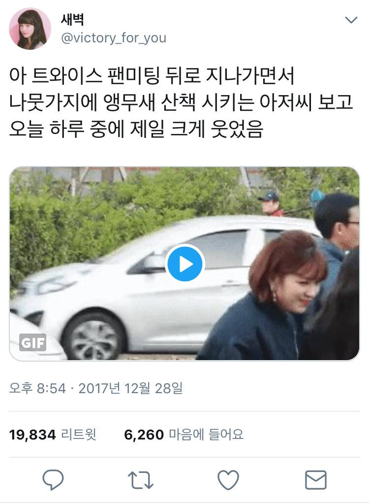 트와이스팬미팅하는데 나뭇가지에 앵무새 얹고 지나가는 아저씨.gif | 인스티즈