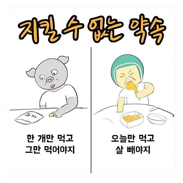 다이어트 결심한 애들 특징 | 인스티즈