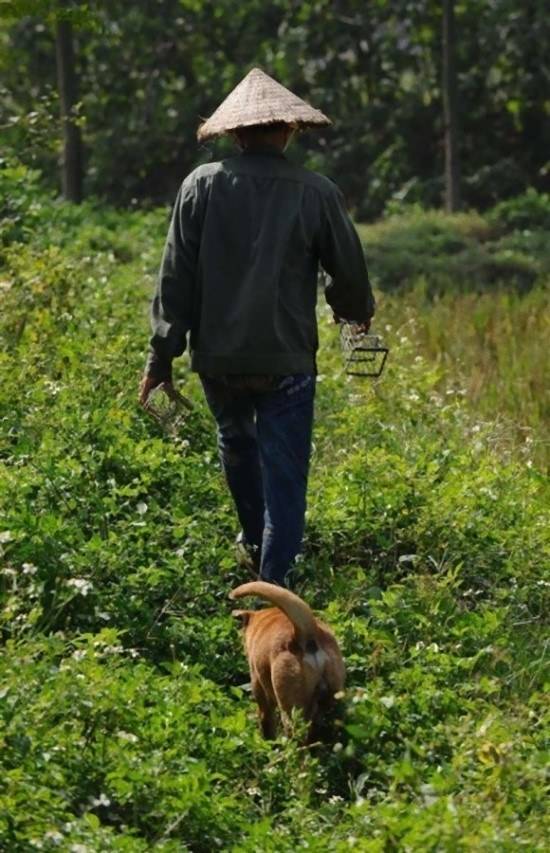 베트남 서민 건강식 쥐고기 구이 만드는 방법 (혐오주의) | 인스티즈