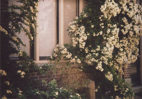 아,저 발자국 저렇게 푹푹 파이는 발자국을 남기며 나를 지나간 사람이 있었지 | 인스티즈