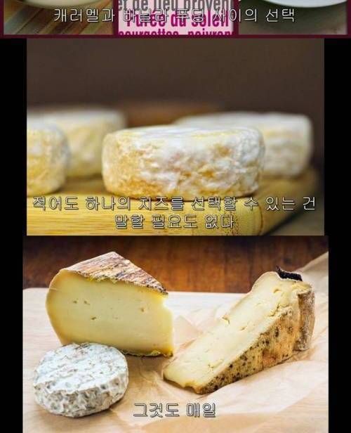 흔한 프랑스 급식 | 인스티즈