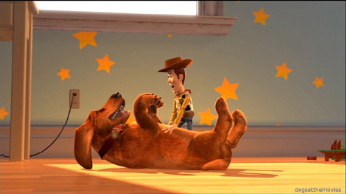 인디와이어 선정 지난 20년간 최고의 애니메이션 20선.jpg | 인스티즈