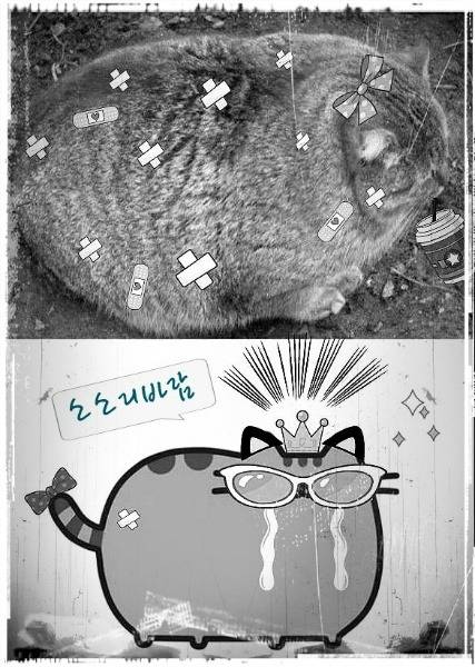 인간이 죽을 때 제일 많이 하는 후회 | 인스티즈