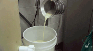 크리스피 도넛 생산 과정.gif | 인스티즈