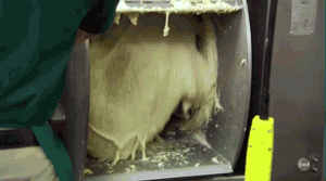 크리스피 도넛 생산 과정.gif | 인스티즈