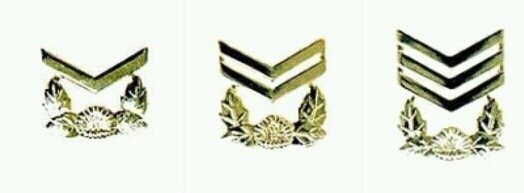 걔들은 아무것도 안했어! 우리가 다했어!! | 인스티즈