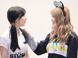 트와이스의 치열한 서열경쟁.gif | 인스티즈