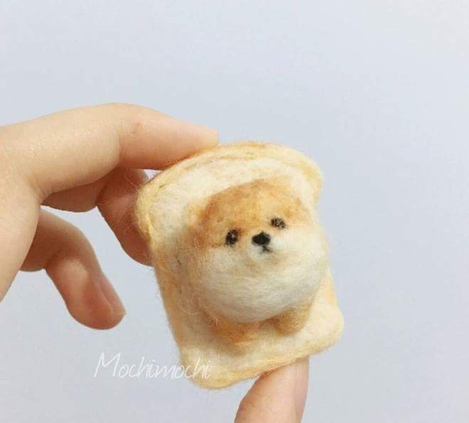 식빵으로 만든 강아지 ㄷㄷㄷ | 인스티즈