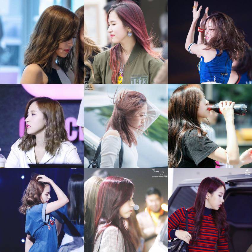 그냥 소소하게 미나리 잘 캐는 미나 | 인스티즈