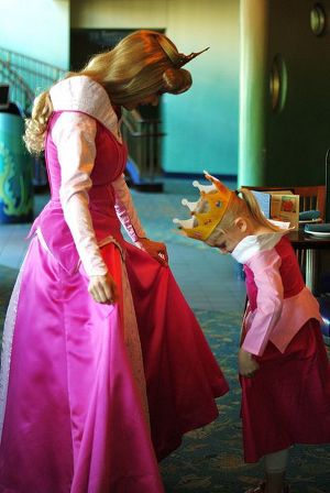 디즈니 랜드에 가면 볼 수 있는 것 | 인스티즈