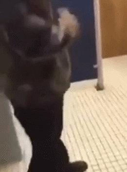 시비가 붙어도 이 2 분류의 사람과는 절대 싸워서는 안된다 | 인스티즈