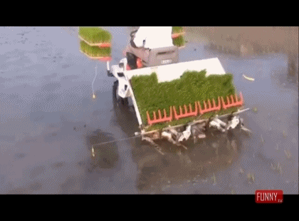 이앙기가 고장나면? | 인스티즈