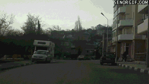 뜻밖의 무단횡단.gif | 인스티즈