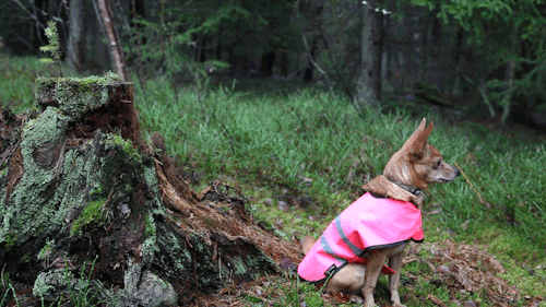  내 잔에 채워지는 고독은 | 인스티즈