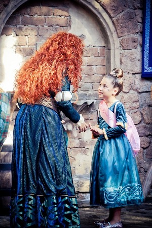 디즈니 랜드에 가면 볼 수 있는 것 | 인스티즈