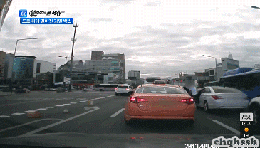 대한민국 시민의식.gif | 인스티즈