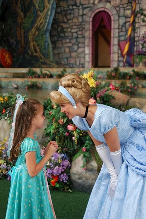 디즈니 랜드에 가면 볼 수 있는 것 | 인스티즈